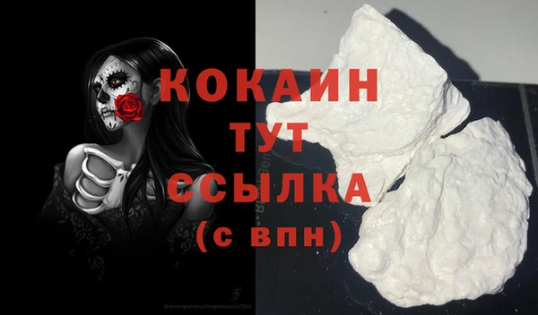 тгк Алексин